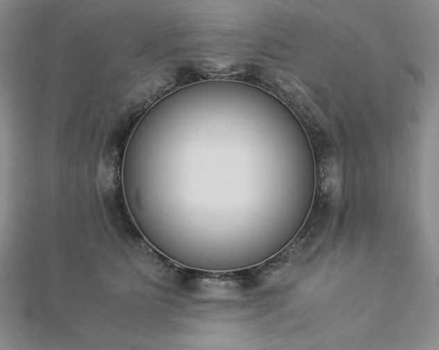 X0000113170515200909041324