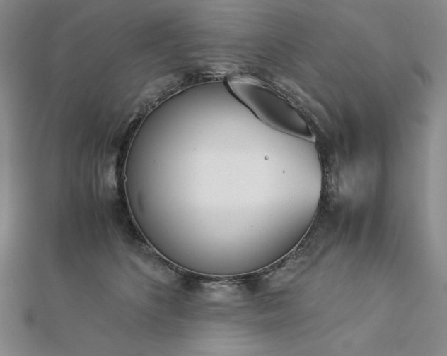 X0000113170516200909041324