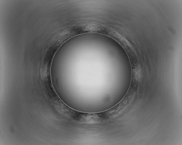 X0000113170517200909041324