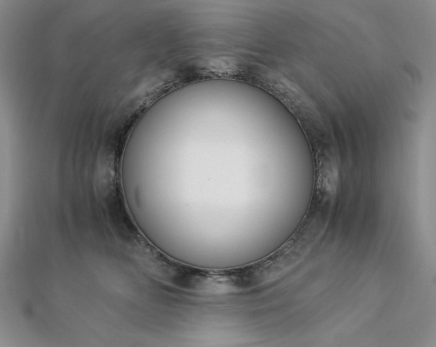 X0000113170518200909041324