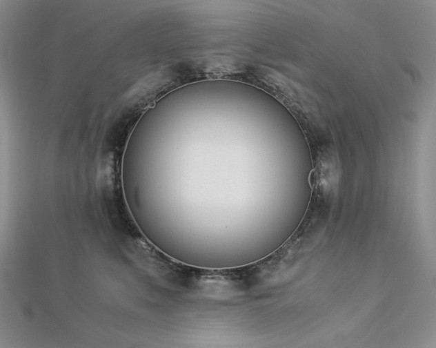 X0000113170519200909041324