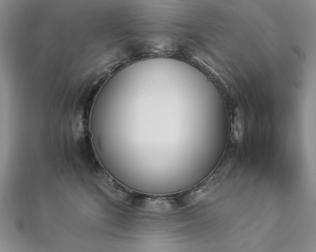 X0000113170520200909041324