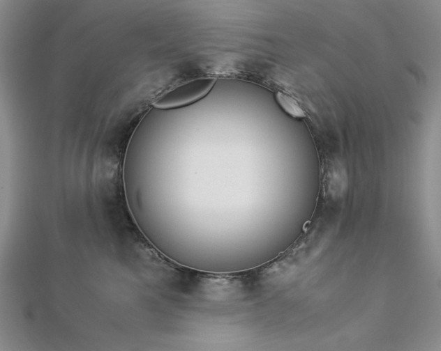 X0000113170521200909041324