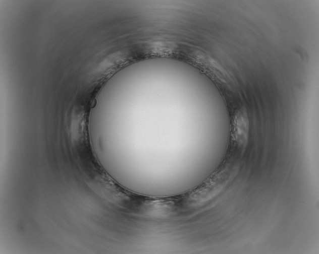 X0000113170522200909041324