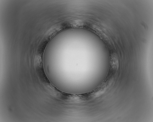 X0000113170523200909041324