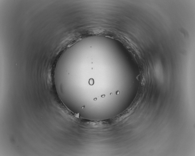 X0000113170524200909041324
