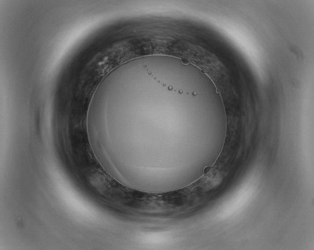 X0000113170526200909041324