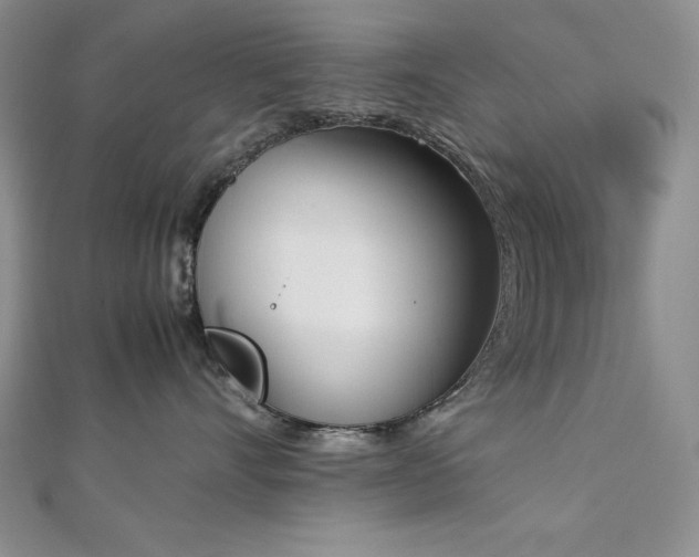 X0000113170528200909041324