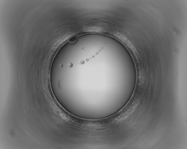 X0000113170529200909041323