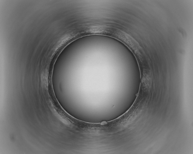X0000113170530200909041323