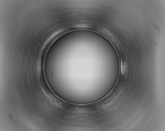 X0000113170531200909041324
