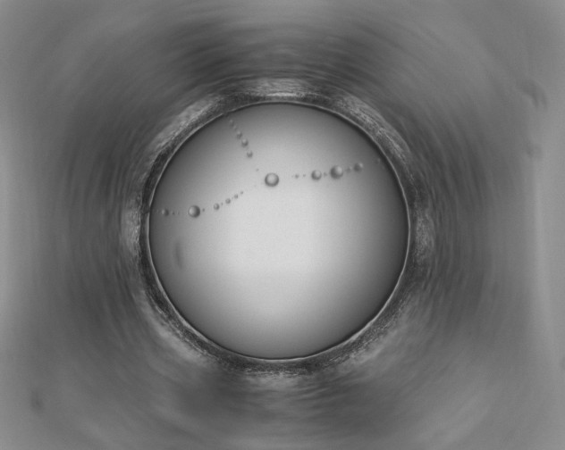 X0000113170533200909041324