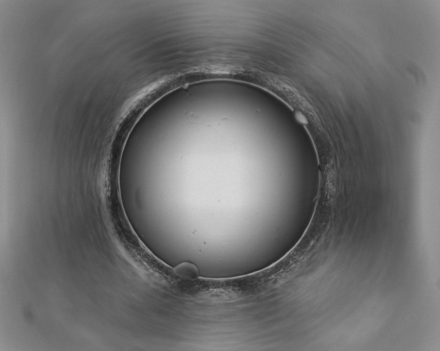 X0000113170536200909041324