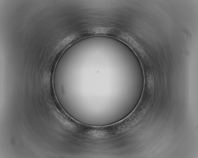X0000113170537200909041324