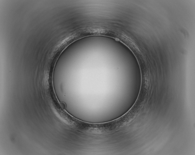 X0000113170538200909041324