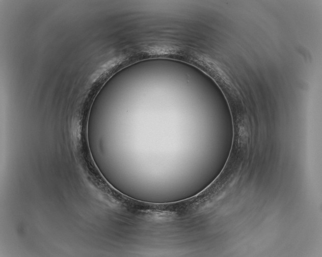 X0000113170539200909041324