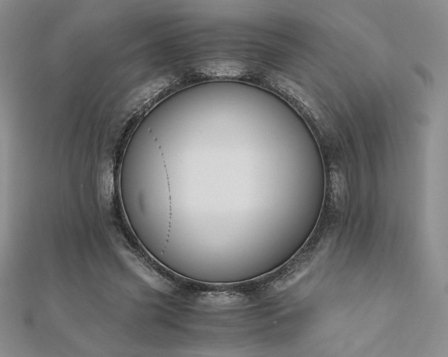 X0000113170541200909041324