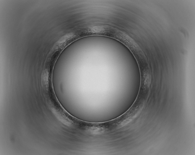 X0000113170542200909041324