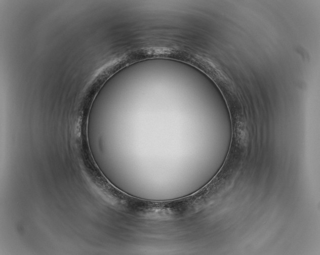 X0000113170543200909041324