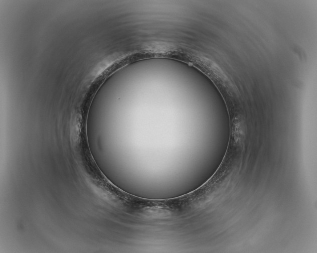 X0000113170544200909041324