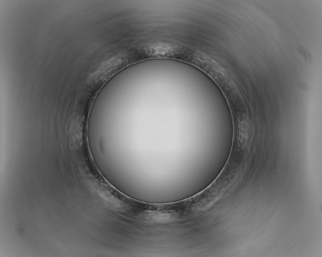 X0000113170545200909041324