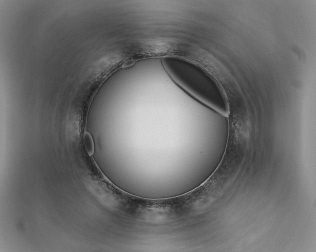 X0000113170546200909041324
