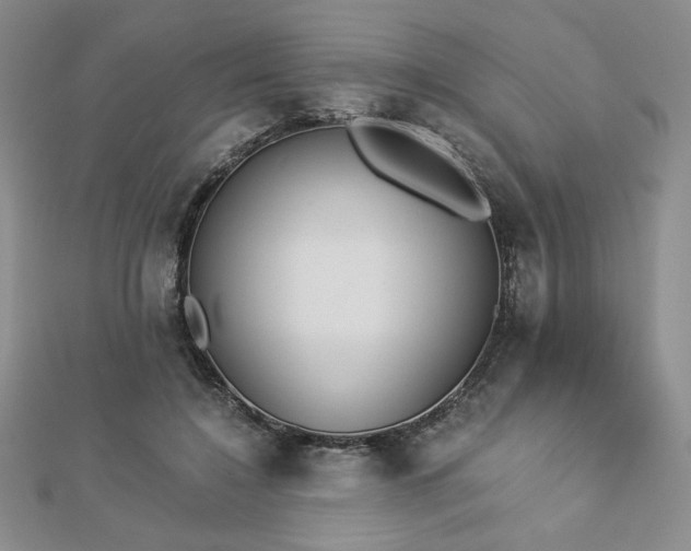 X0000113170548200909041324