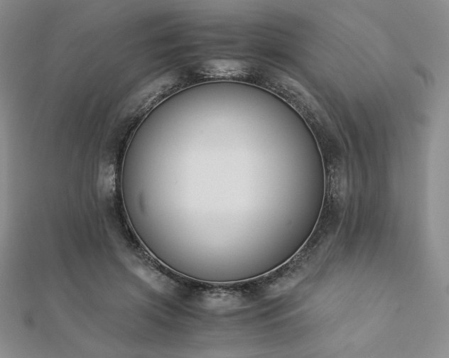 X0000113170549200909041324