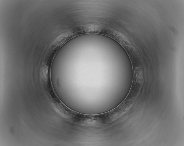 X0000113170550200909041324