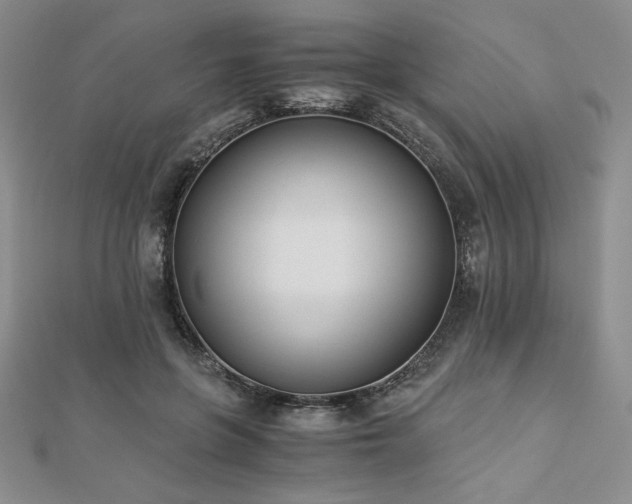 X0000113170551200909041324