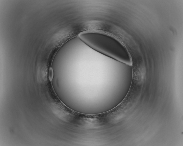 X0000113170552200909041324