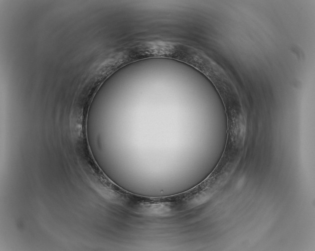 X0000113170553200909041324