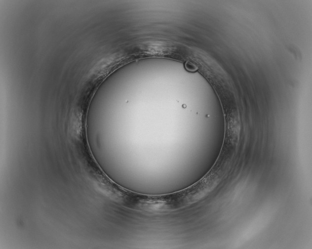 X0000113170554200909041324