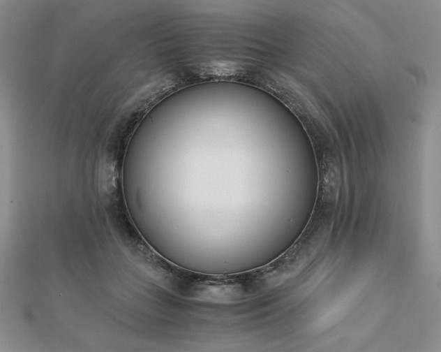 X0000113170555200909041324