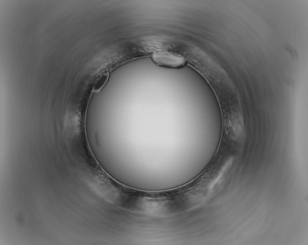 X0000113170556200909041324