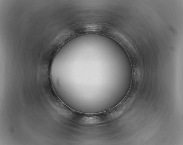 X0000113170557200909041324