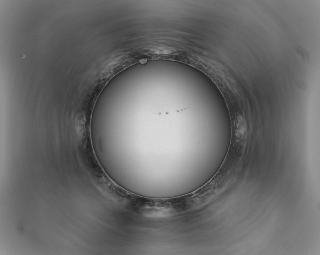X0000113170559200909041324
