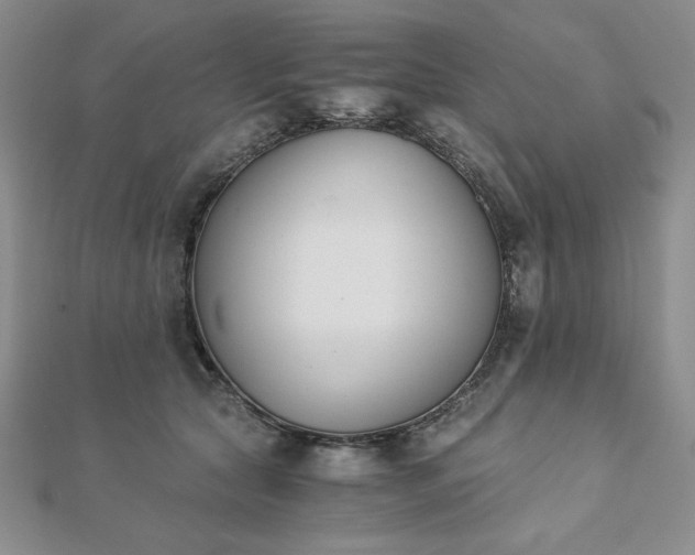 X0000113170561200909041324