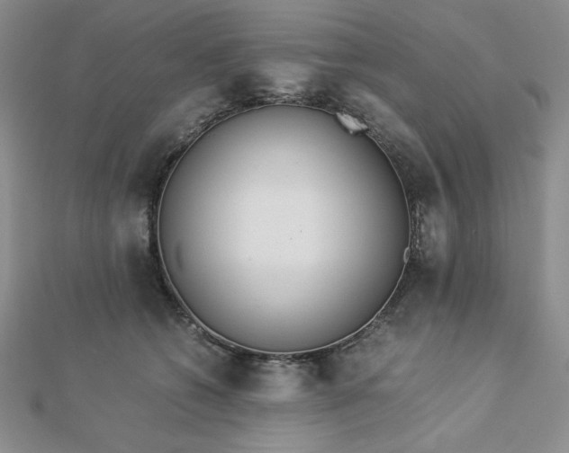 X0000113170562200909041324