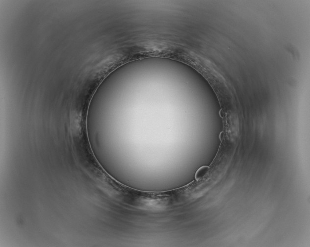X0000113170563200909041324