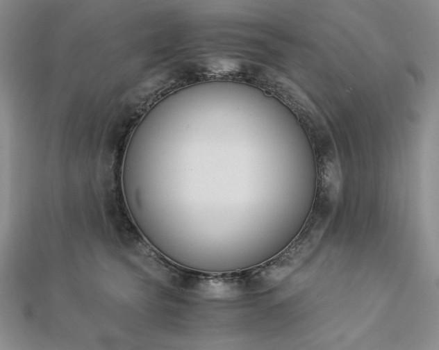 X0000113170565200909041324