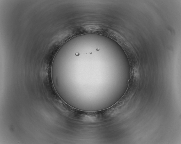 X0000113170567200909041324