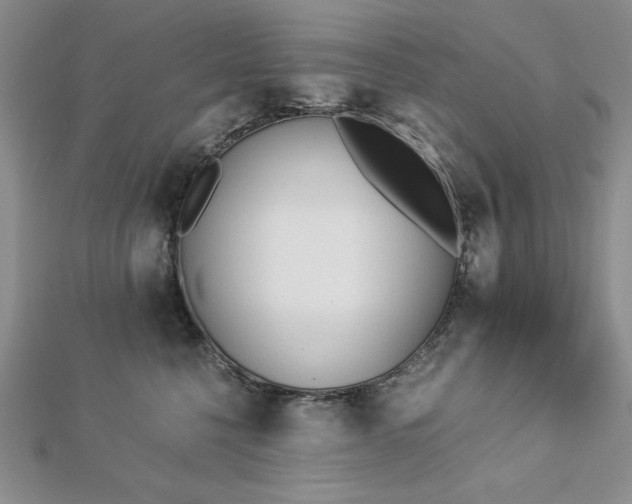 X0000113170568200909041324