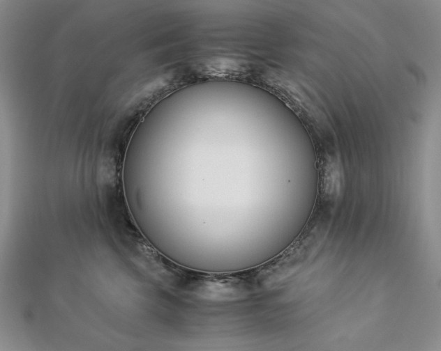 X0000113170569200909041324