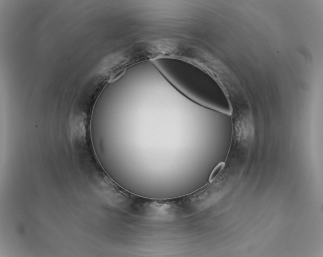 X0000113170570200909041324