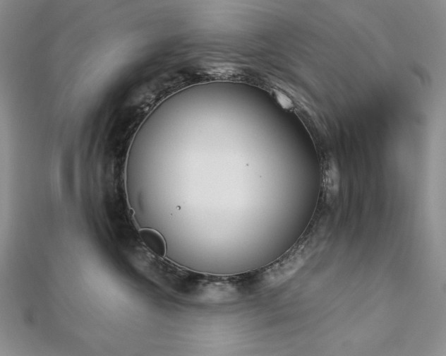 X0000113170572200909041324