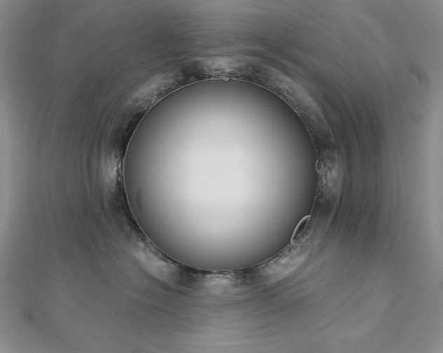 X0000113170574200909041324