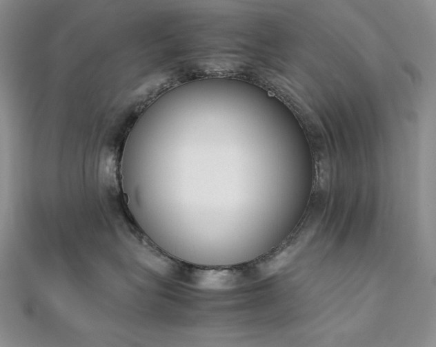 X0000113170575200909041324