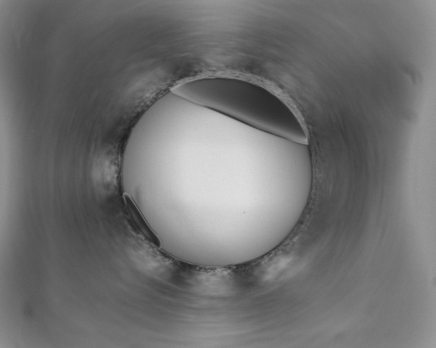 X0000113170576200909041324