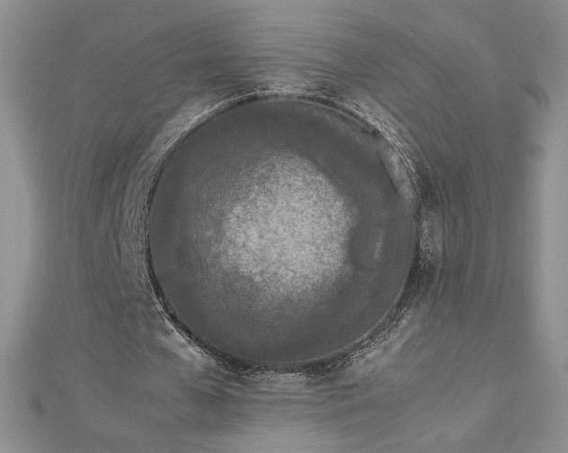 X0000113170577200909041323